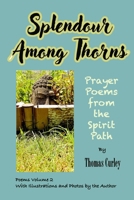 Splendour Among Thorns: Prayer Poems from the Spirit Path 1734821124 Book Cover