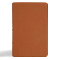 NASB Single-Column Personal Size Bible, Tan Genuine Leather, Black Letter, Presentation Page, Full-Color Maps, Easy-to-Read Bible Serif Type B0CH4FY5K7 Book Cover
