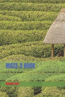 MAZE-2 BOOK B0CF4BCYQT Book Cover