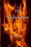 We Made it Through the Tribulation: Living Through the Final Seven Years of Tribulation. A Local's Perspective 1069680028 Book Cover