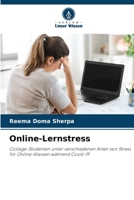 Online-Lernstress 6205757729 Book Cover