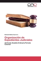 Organización de Expedientes Judiciales 6200394016 Book Cover