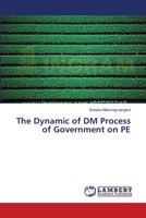 The Dynamic of DM Process of Government on PE 3659360295 Book Cover