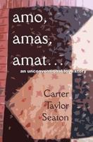 amo, amas, amat...: An Unconventional Love Story 1463584644 Book Cover