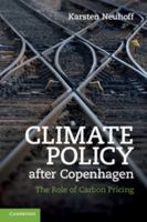 Climate Policy After Copenhagen: The Role of Carbon Pricing 1107401410 Book Cover
