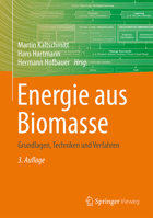 Energie aus Biomasse: Grundlagen, Techniken und Verfahren 3662474379 Book Cover