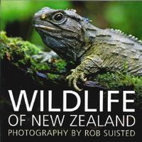 Wildlife of New Zealand 1869664000 Book Cover
