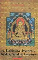 Bodhisattva Doctrine in Buddhist Sanskrit Literature 8120812573 Book Cover