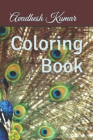 Coloring Book B0C6BYVT95 Book Cover