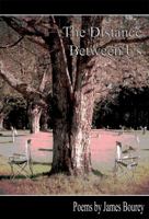 The Distance Between Us 1733075240 Book Cover