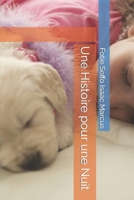 Une Histoire pour une Nuit (French Edition) B0CNSHH71R Book Cover
