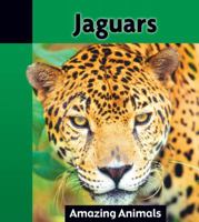 Jaguars (Amazing Animals) 1590363922 Book Cover
