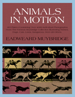 Animals in Motion 0486202038 Book Cover