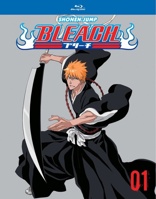 Bleach Box Set 1