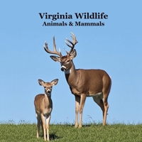 Virginia Animals and Mammals Kids Wildlife Book: Great Wildlife Book about Animals and Mammals in Virginia 1968228454 Book Cover