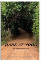 Dark at Noon 0578253542 Book Cover
