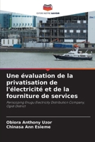 Une évaluation de la privatisation de l'électricité et de la fourniture de services 6207430328 Book Cover