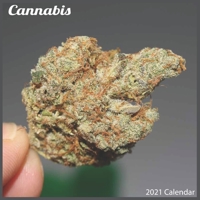 Cannabis 2021 Calendar: Official Cannabis Calendar 2021 B08RGN5YK6 Book Cover