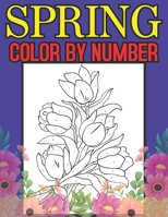 Spring Color By Number: Large Print Spring Color By Number Coloring Book for Adults with Spring Scenes, Flowers, Butterflies, and More B093CDLLGB Book Cover