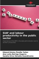 SIAF and labour productivity in the public sector 6207798007 Book Cover