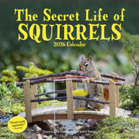 Secret Life of Squirrels Wall Calendar 2026 1523531258 Book Cover