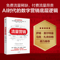 Traffic Marketing (Chinese Edition) B0H32PTK7J Book Cover
