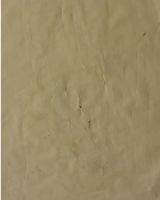 Ferragosto Bk 4 1364357828 Book Cover