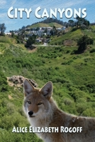 City Canyons 142183555X Book Cover