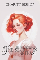 The Secret in Belfast 149482034X Book Cover