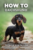 How to Dachshund: A Tail-Wagging Guide to Care, Training and Grooming Bliss B0CWKZXHX2 Book Cover