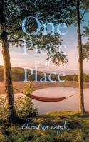 One Piece out of Place 1038370418 Book Cover