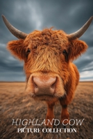 Highland Cow Photo Collection: Beautiful Full-Page Pictures of Highland Cows and Calves for All Ages (Simple Photo Books). B0GHR5JRBS Book Cover