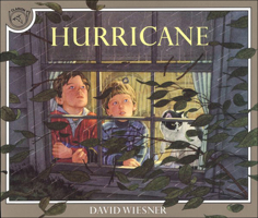 Hurricane 0395629748 Book Cover