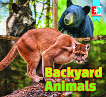 Backyard Animals 1791148905 Book Cover