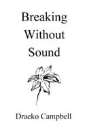 Breaking Without Sound B0FLVC881D Book Cover