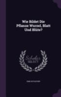 Wie Bildet Die Pflanze Wurzel, Blatt Und Blute? 1358728771 Book Cover