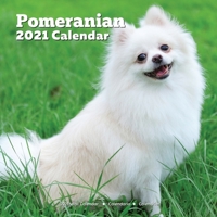 Pomeranian Calendar 2021: Lover Gifts B08LJXPK48 Book Cover