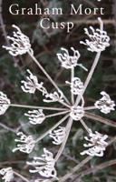 Cusp 1854115480 Book Cover