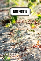 Notebook: Id�al pour vos prises de notes, votre carnet vous permettra de ne rien oublier - Original & pratique de 110 pages lign�es 1698983123 Book Cover