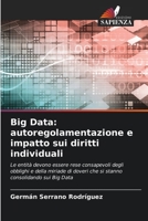 Big Data: autoregolamentazione e impatto sui diritti individuali (Italian Edition) 6206521532 Book Cover
