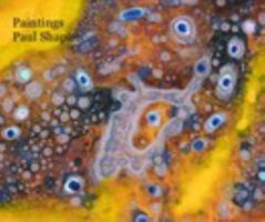 Paintings Paul Shapiro 0368537730 Book Cover