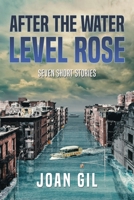 After the Water Level Rose: Seven Short Stories 0578369109 Book Cover