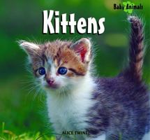 Kittens (Baby Animals) 1404276858 Book Cover