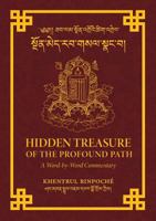 Hidden Treasure of the Profound Path: A Word-by-Word Commentary on the Kalachakra Preliminary Practices 0994610696 Book Cover