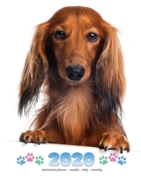 2020 Dachshund Planner - Weekly - Daily - Monthly 1642526401 Book Cover