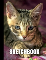 Sketchbook: Cat Cover Design | White Paper | 120 Blank Unlined Pages | 8.5" X 11" | Matte Finished Soft Cover 1712914677 Book Cover