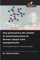 Una panoramica dei sistemi di somministrazione di farmaci basati sulle nanoparticelle (Italian Edition) 6207019946 Book Cover