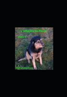 L'Odyss�e de P�pite Tome II 1980440387 Book Cover