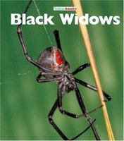 Black Widows : Naturebooks Series 0895658453 Book Cover