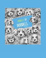 Oodles of Doodles B0G2RJXQYP Book Cover